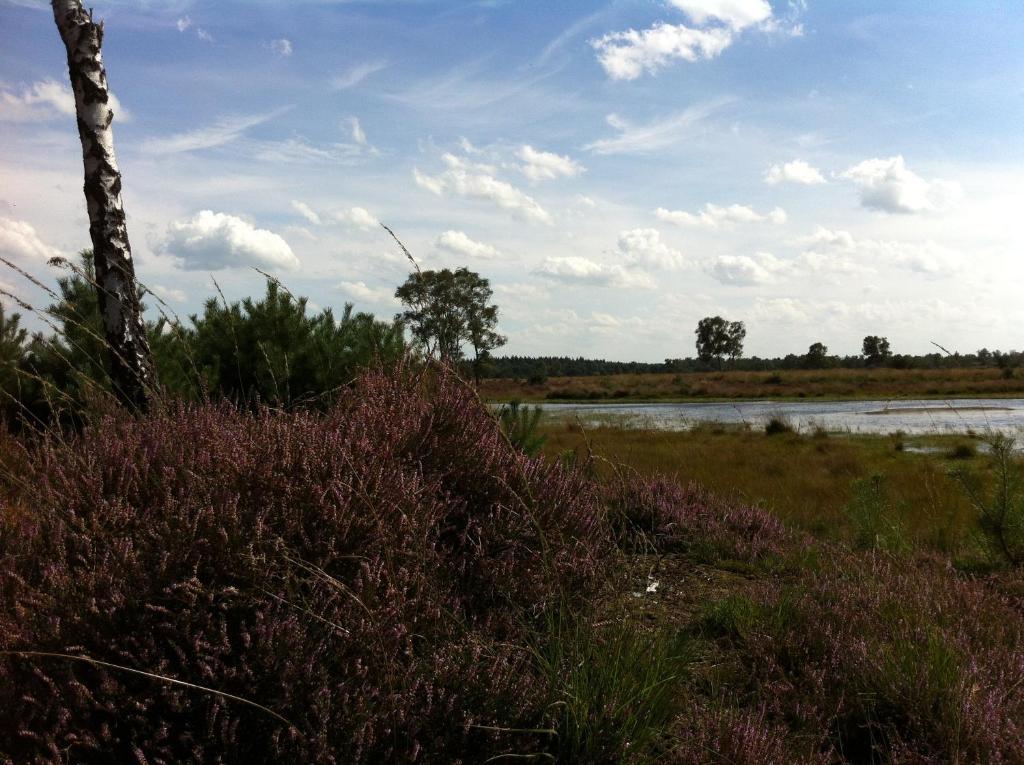 B&B Leendershoeve In Heusden อัสเตอ ภายนอก รูปภาพ