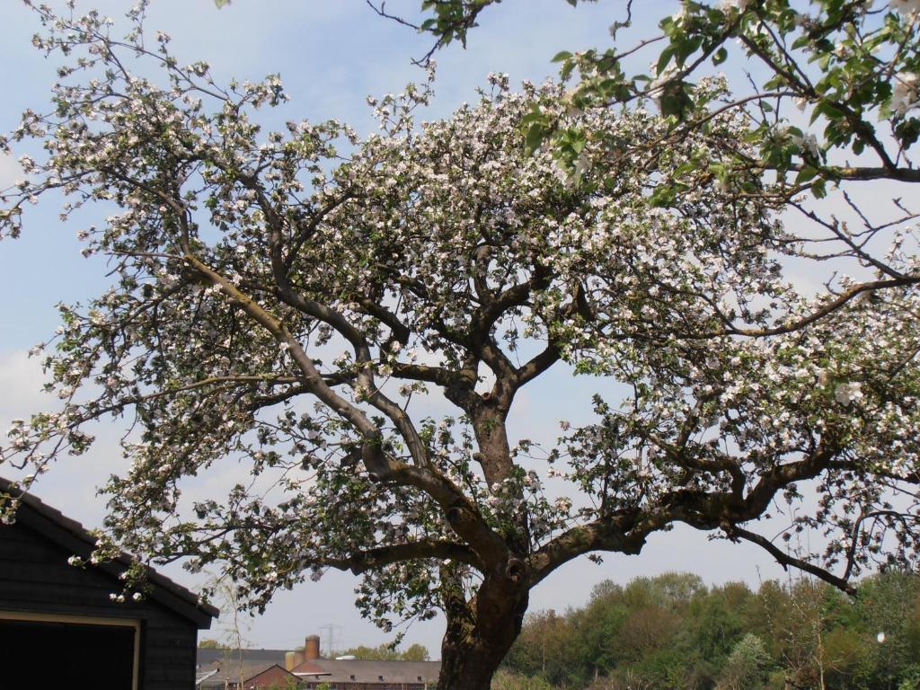 B&B Leendershoeve In Heusden อัสเตอ ภายนอก รูปภาพ